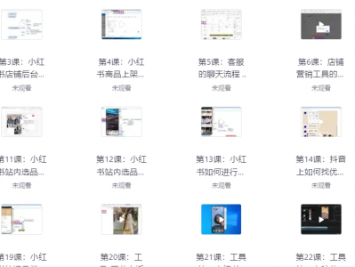 价值2999元小红书电商运营从入门到精通